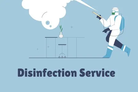 Disinfection Services