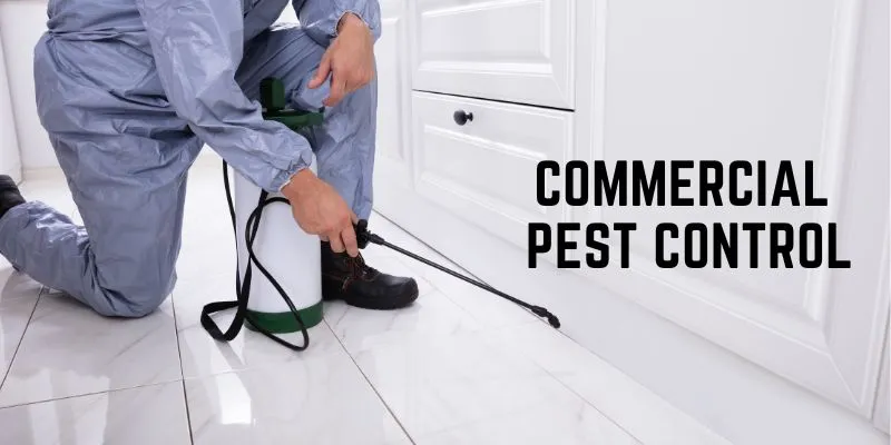 Commercial Pest Control