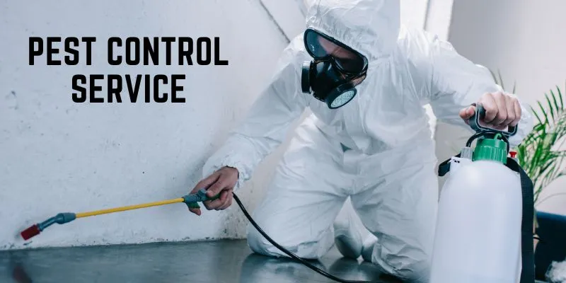 Pest Control Services