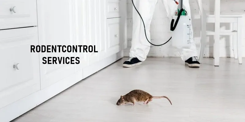 Rodent Control Services