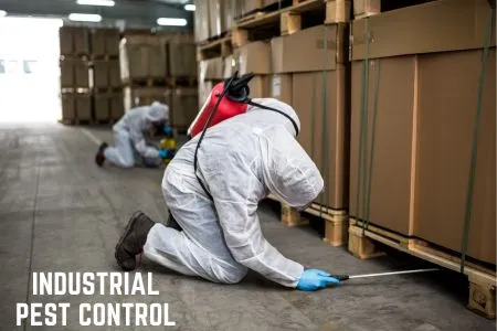 Industrial Pest Control